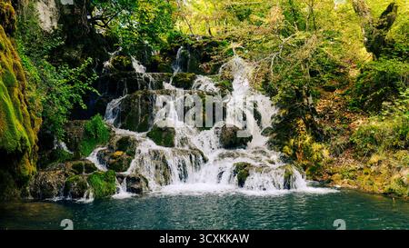 Freshwater stream falling over mossy rocks surrounded by lush trees Stock Photo