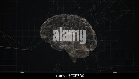 Floating 3D wireframe brain pulsing in virtual space, with grid overlay showing network nodes Stock Photo