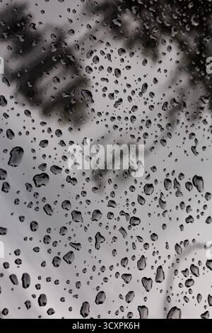 Water droplets on a black car after rain, abstract reflection of sky and trees, can be used as background. Stock Photo
