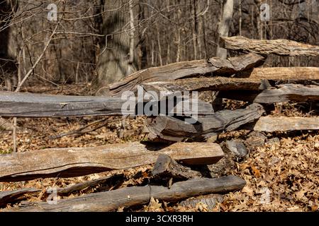Weathered split rail fence around forest. Rural landscape, split-rail fence construction, parks and nature conservation concept Stock Photo