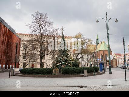 City Christmas tree in the square. Krakow, Poland, 22.11.2024 Stock Photo