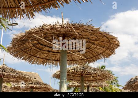 Woven straw beach umbrellas providing shade against a bright blue sky at Kendwa Beach Zanzibar Stock Photo