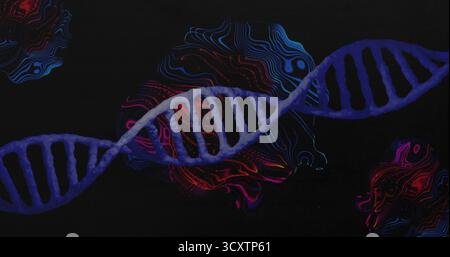 Undulating glowing DNA double helix spanning black graphic composition, with neon contour shapes Stock Photo