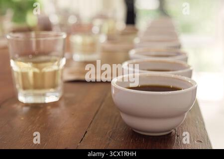 Row of coffee cups prepared for professional cupping session to evaluate aroma and flavor. Specialty coffee tasting setup in a cozy cafe or roastery e Stock Photo