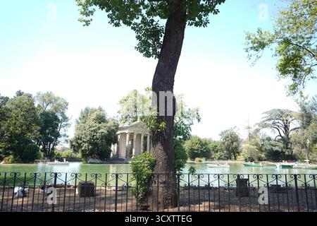 The neoclassical Temple of Asclepius at Villa Borghese, Rome, is framed by a prominent dark tree trunk and railing, with boats on the scenic lake. Stock Photo