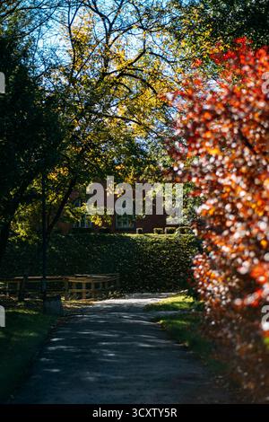A winding park path leads toward a historic red brick building through shaded autumn foliage. Urban quietude, historic architecture, nature in cities Stock Photo
