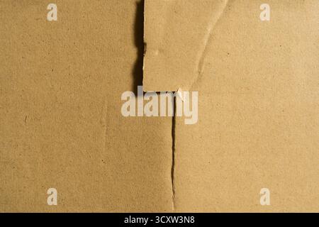 Cardboard box texture background with lightning-like shape cutting line in the middle Stock Photo