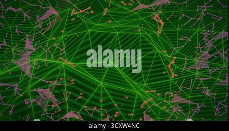Displaying abstract green wireframe mesh in virtual space, with pink and purple network nodes Stock Photo