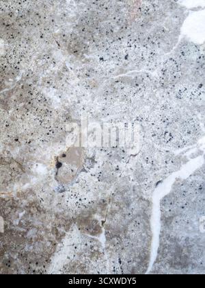 Granite stone surface showcasing natural gray and white speckled texture Stock Photo