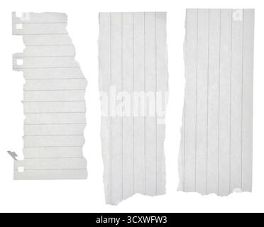 Pieces of torn lined paper isolated on white background Stock Photo