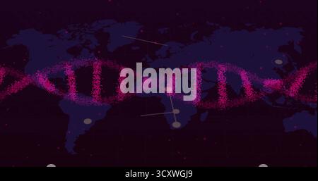 Displaying stylized pink-dotted DNA helix stretching across purple world map grid, with data nodes Stock Photo