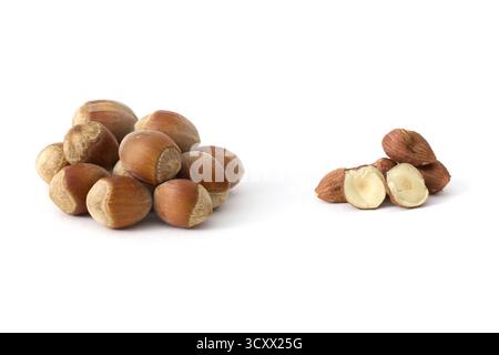 Whole hazelnuts scattered on a clean white background, showcasing their natural texture and rich brown color, perfect for food and health concepts. Stock Photo