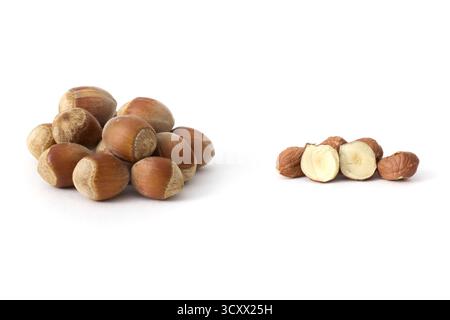 Whole hazelnuts scattered on a clean white background, showcasing their natural texture and rich brown color, perfect for food and health concepts. Stock Photo
