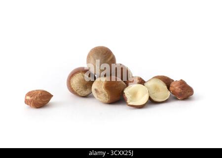 Whole hazelnuts scattered on a clean white background, showcasing their natural texture and rich brown color, perfect for food and health concepts. Stock Photo