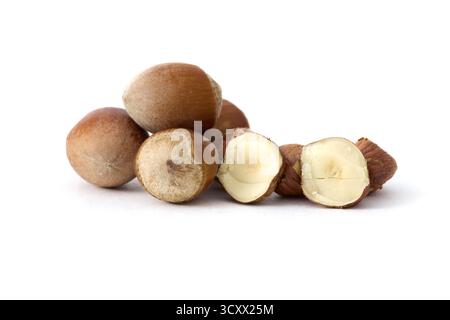 Whole hazelnuts scattered on a clean white background, showcasing their natural texture and rich brown color, perfect for food and health concepts. Stock Photo