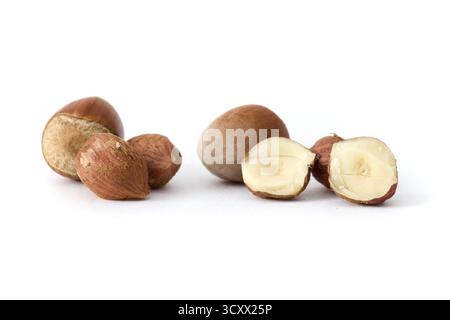 Whole hazelnuts scattered on a clean white background, showcasing their natural texture and rich brown color, perfect for food and health concepts. Stock Photo