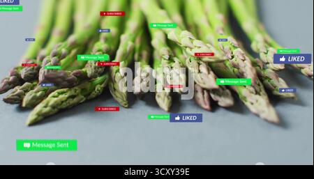 Displaying asparagus spears on grey tabletop, with floating green, blue, red notification icons Stock Photo