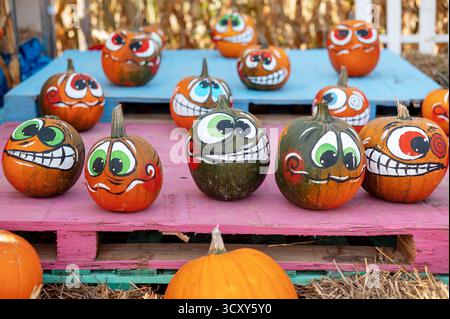 Painted pumpkins with cartoon faces on colorful pallets. Stock Photo