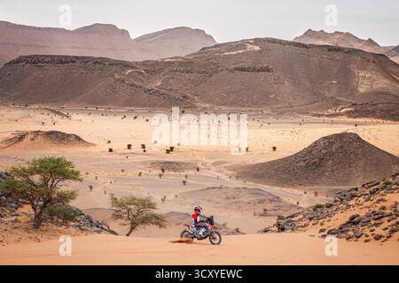 VENTURA Martim (por), Honda HRC Junior Team, Honda, Rallye 2, FIM W2RC