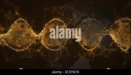 Displaying golden DNA double helix wrapping around dotted globe in digital grid, scattered data Stock Photo