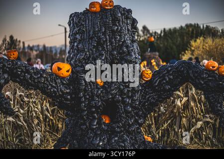 Halloween. Spooky white ghost figure in the dark, mysterious spirit in fog and moonlight, eerie and creepy atmosphere for Halloween night. Stock Photo