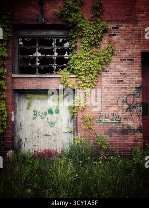 Overgrown ivy climbs the brick wall of an abandoned building with broken windows and graffiti on the weathered wooden door Stock Photo