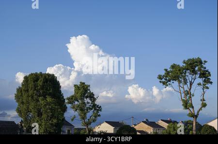 Large white clouds in a blue sky, with trees below Stock Photo
