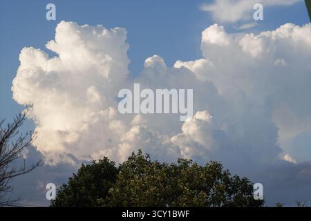 Large, fluffy white clouds loom above trees against a blue sky Stock Photo