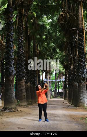 Phetchaburi, Thailand-June 20, 2019: Tourists take photos and admire the beauty of Uncle Thanom's Palm Garden (Lung Thanom Sugar Palm Plantation in Ba Stock Photo