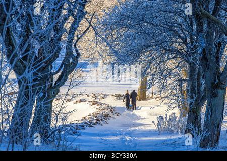 Pair walking with a dog on a snowy footpath in a wintry landscape Stock Photo