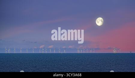 Wind farm and turbines and moon against blue red evening sky in  North sea Stock Photo