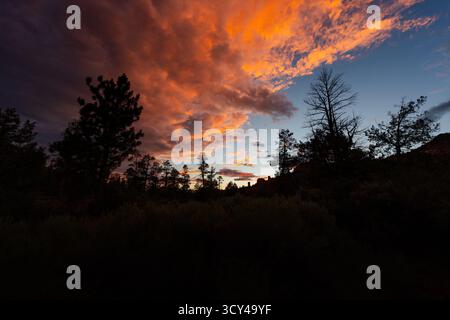Colorful clouds at sunset moving across sky over forest Stock Photo