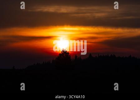 Sun rises through moving clouds over tall trees, filling the sky with rich red and orange colors, creating a dramatic, colorful scene full of texture, Stock Photo