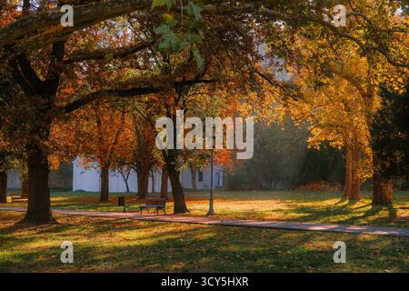 Peaceful autumn park scene with golden and orange leaves, sunlight streaming through the trees, and an empty bench along a quiet pathway Stock Photo