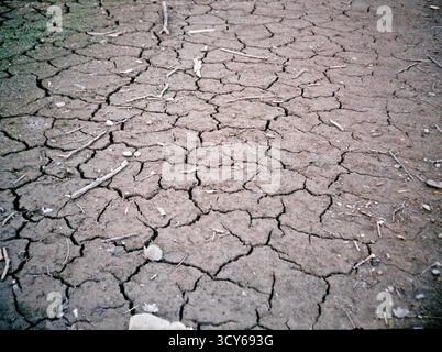 Cracked earth on a shoreline after the water receded, revealing dry patterns and textured ground, captured in authentic analog color film. Stock Photo