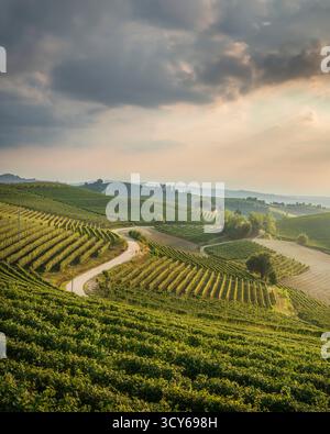 Scenic view of a winding road cutting through the rolling hills of the Langhe vineyards in Barbaresco, Piedmont, Italy Stock Photo