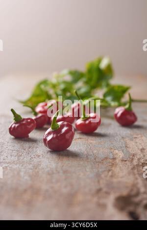 close-up of red rocoto chilies scattered on a rustic wooden surface, soft focus green leaves in background, copy space for text, warm vintage Stock Photo