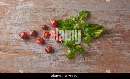 close-up of red rocoto chilies scattered on a rustic wooden surface background with green leaves, copy space for text, warm vintage and culinary Stock Photo
