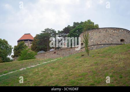 Old stone defensive wall and tower of Esztergom basilica on a grassy hillside under a cloudy sky in Hungary Stock Photo