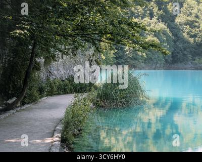 A peaceful forest trail runs along a vivid turquoise lake with overhanging branches and rocky cliffs at Plitvice Lakes National Park, Croatia. Stock Photo