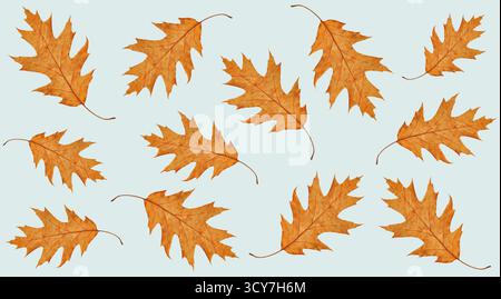 Autumn fall wallpaper, oak leaves seamless pattern. Dried red oak leaf isolated pattern. Seasonal background, plant wallpaper, fabric pattern Stock Photo