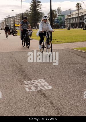 Couple cycling on a waterfront path past parkland and urban buildings. Natural light, relaxed, active. Stock Photo