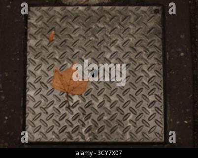 Solitary brown leaf contrasts sharply with the gritty, textured, monochrome surface of a utility cover, highlighting an introspective, moody tone. Stock Photo