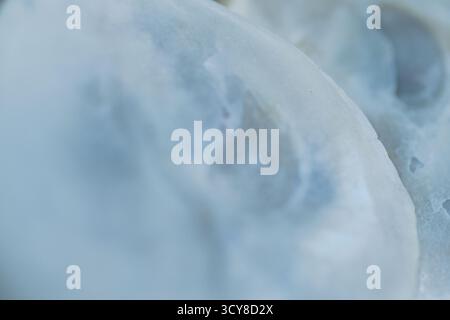 Pearly white surface. Abstract horizontal background. Perfect for design creations. Stock Photo