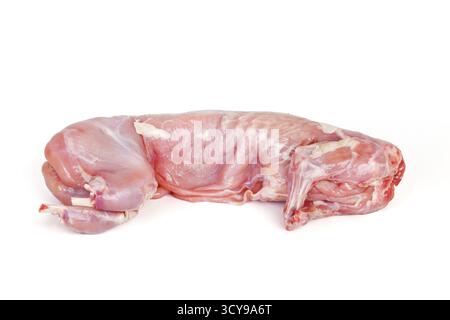 Raw rabbit isolated on white background Stock Photo