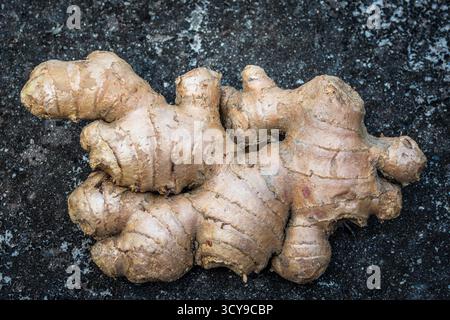 Single ginger root rests on a dark, textured background, wrinkled form highlights natural color and texture Stock Photo