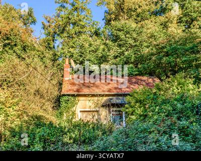 Hidden tiny house surrounded by shrubs and trees in La Celle-Guenand, Indre-et-Loire (37), France. Stock Photo