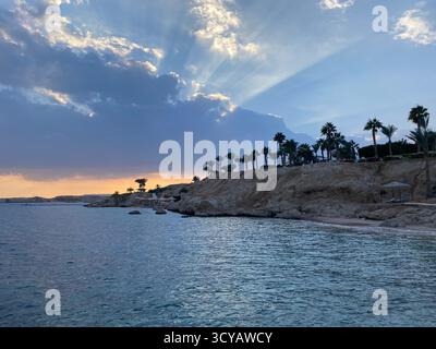 Sunset on the seashore with palm trees, the sun's rays break through the clouds Stock Photo