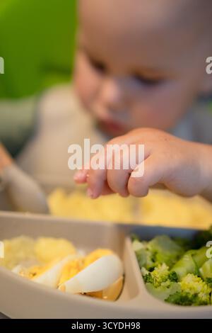 Close-up shot of small hand touching and picking at corn cereal, steamed broccoli and boiled egg. Important sensory experience during weaning period. Stock Photo