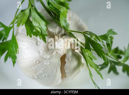 Large Round Garlic Head with Parsley on White Background — Top View Healthy Food Photography Stock Photo